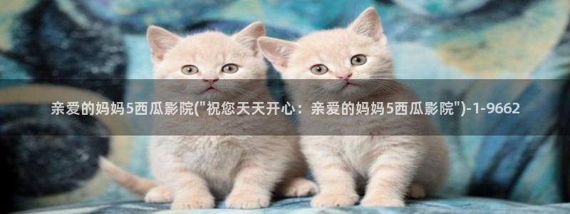 西瓜影院手机在线观看